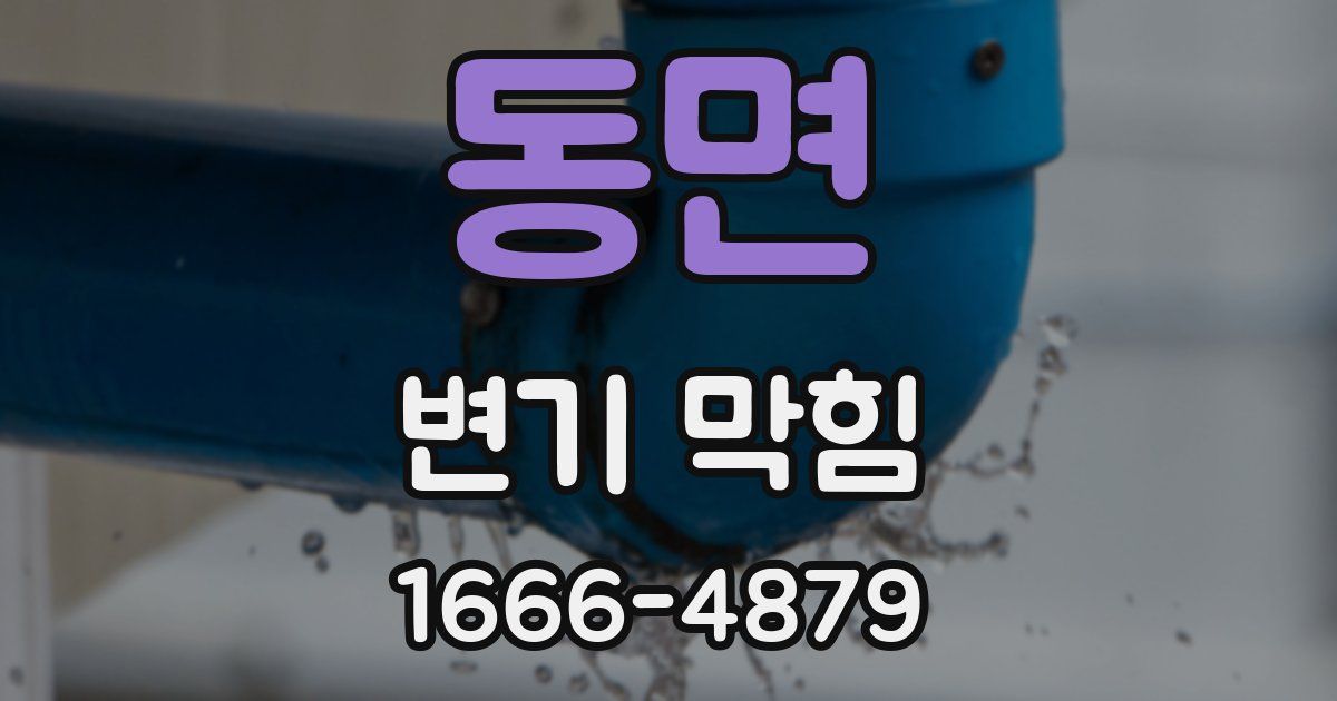 동면 변기 막힘