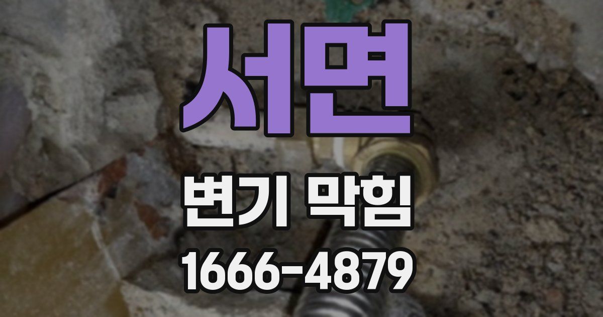 서면 변기 막힘