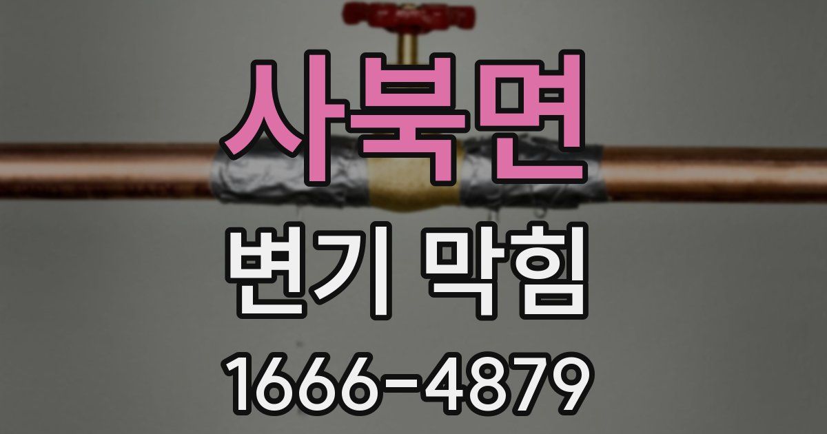 사북면 변기 막힘