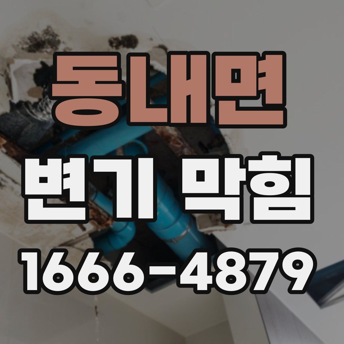 동내면 변기 막힘