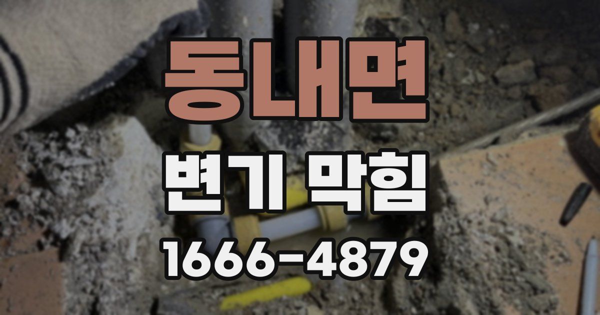 동내면 변기 막힘