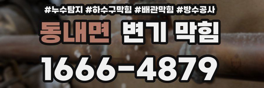 동내면 변기 막힘