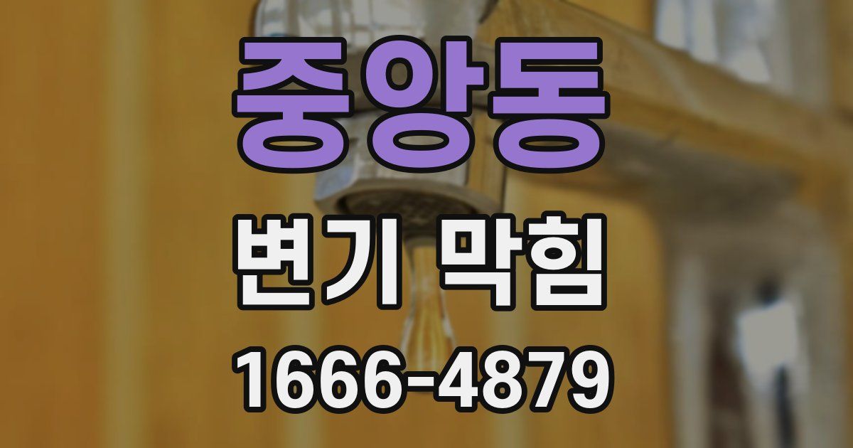 중앙동 변기 막힘