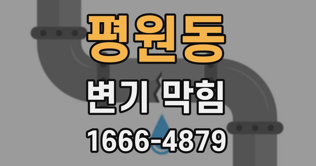 평원동 변기 막힘