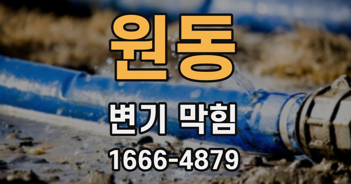 원동 변기 막힘