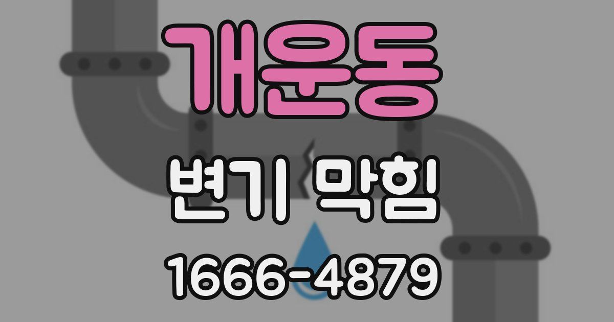 개운동 변기 막힘