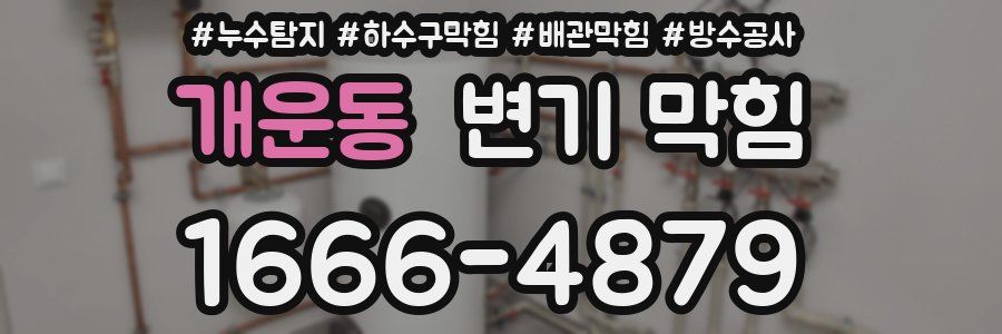 개운동 변기 막힘
