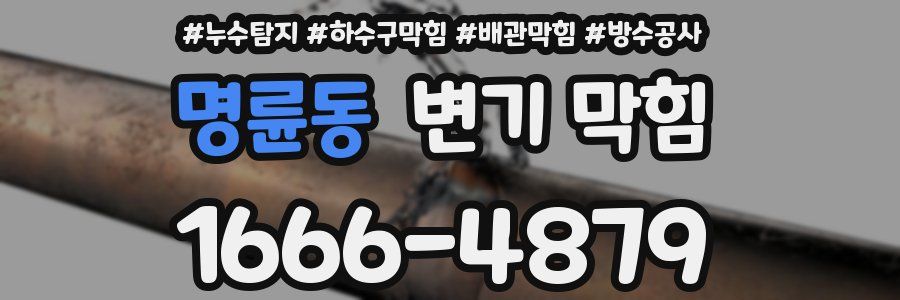 명륜동 변기 막힘