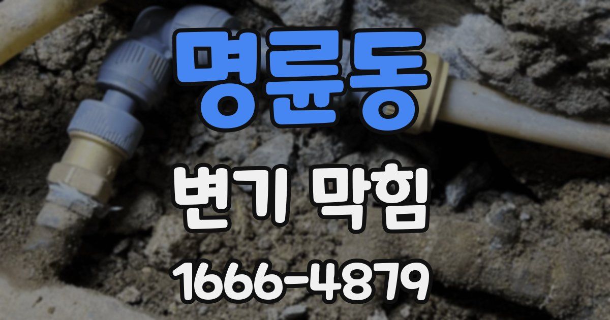 명륜동 변기 막힘