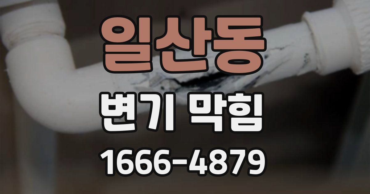 일산동 변기 막힘