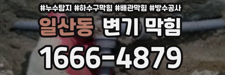 일산동 변기 막힘
