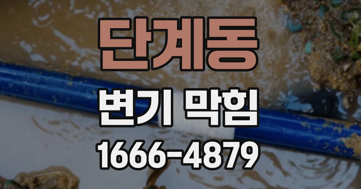 단계동 변기 막힘