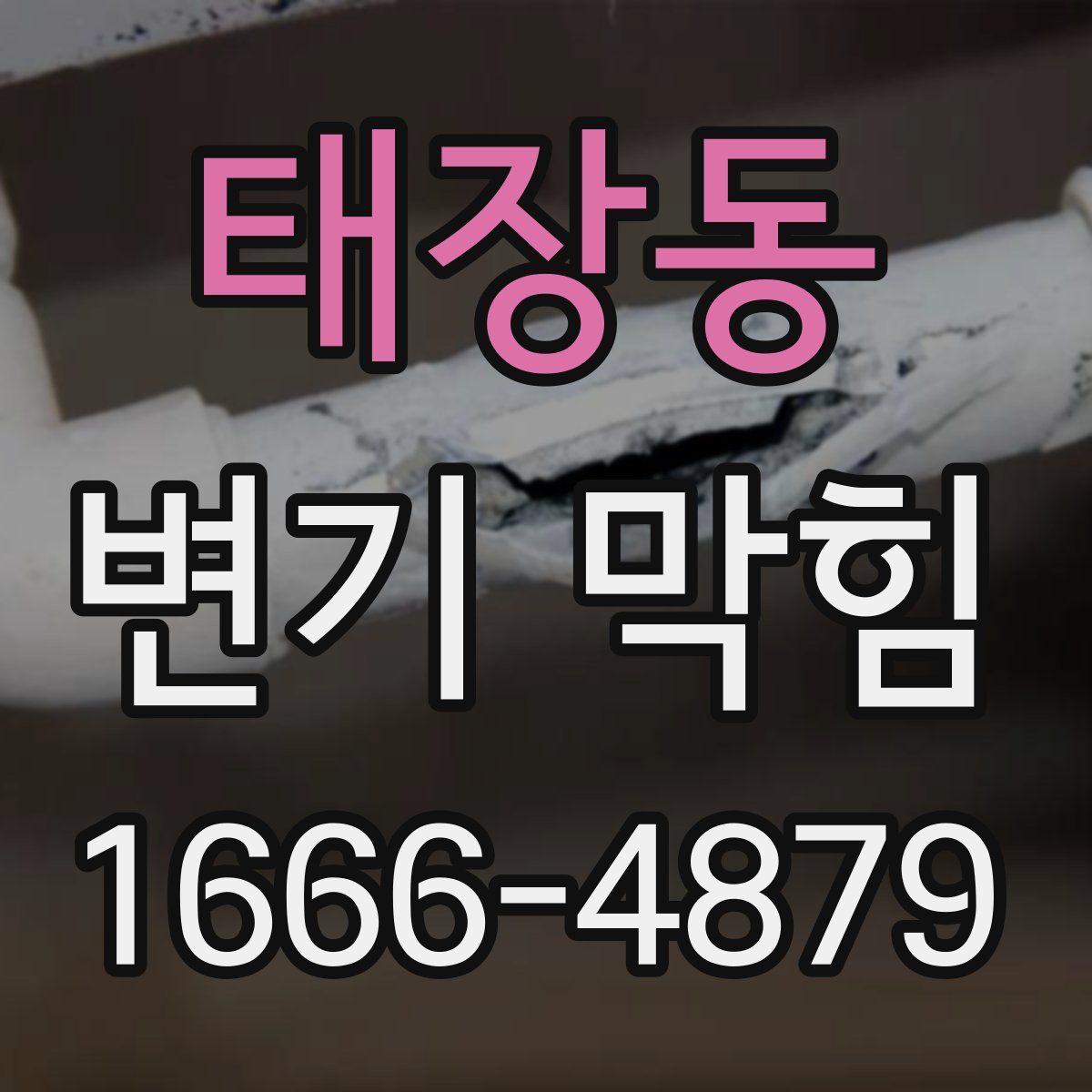 태장동 변기 막힘