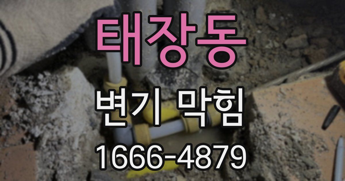 태장동 변기 막힘