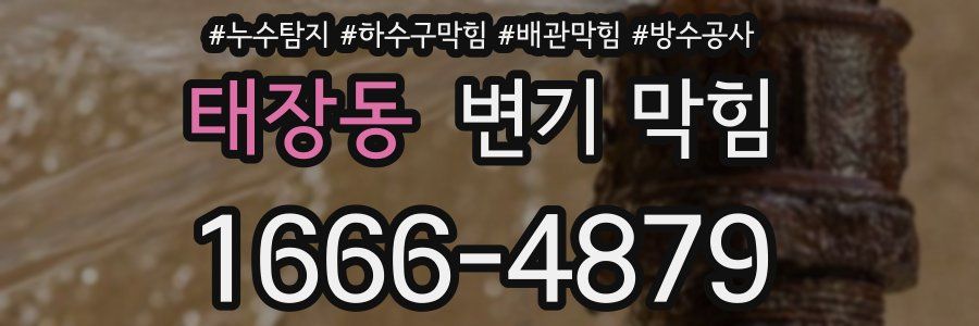 태장동 변기 막힘