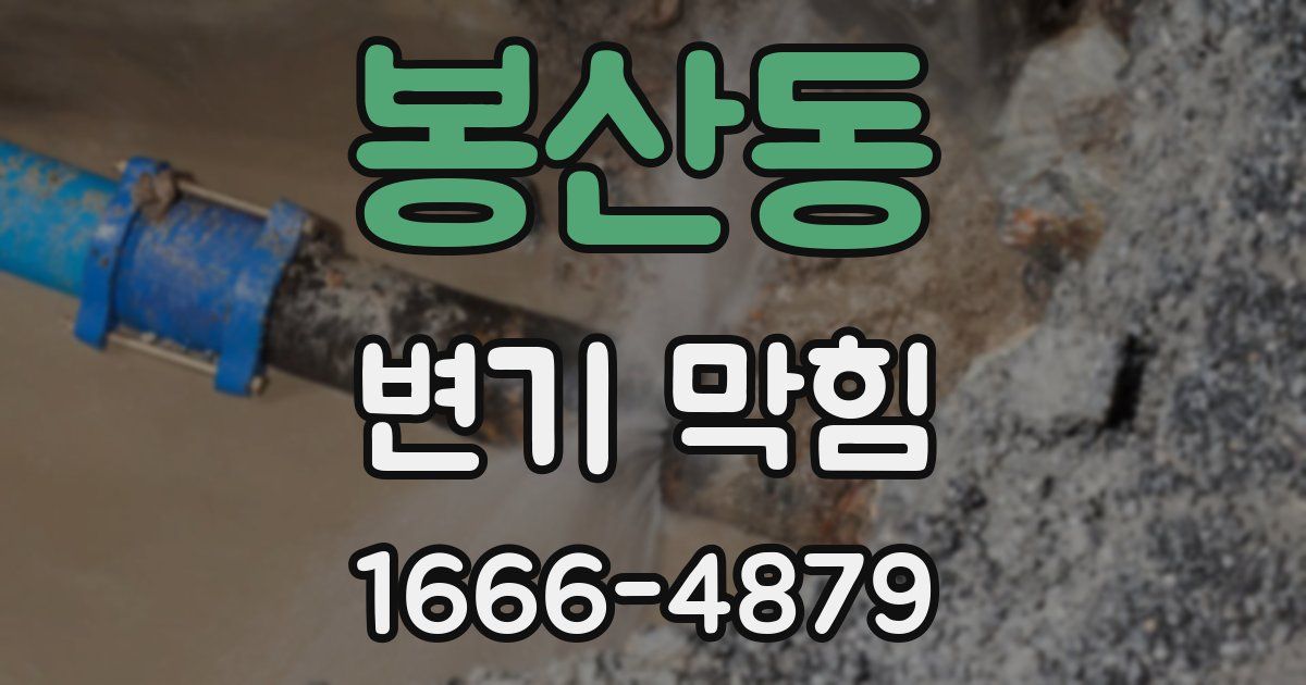 봉산동 변기 막힘