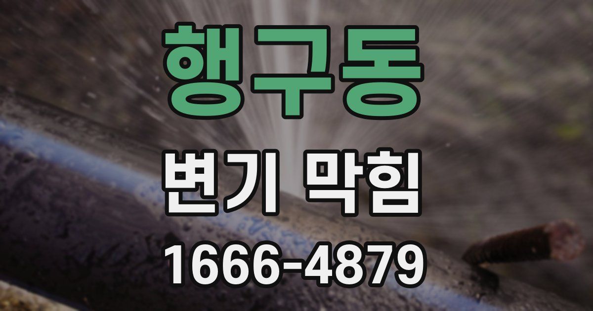 행구동 변기 막힘
