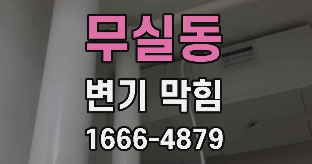 무실동 변기 막힘