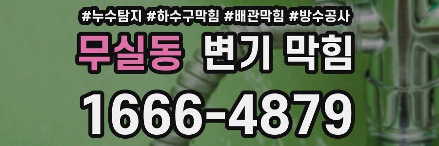 무실동 변기 막힘