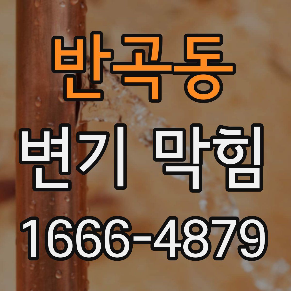 반곡동 변기 막힘