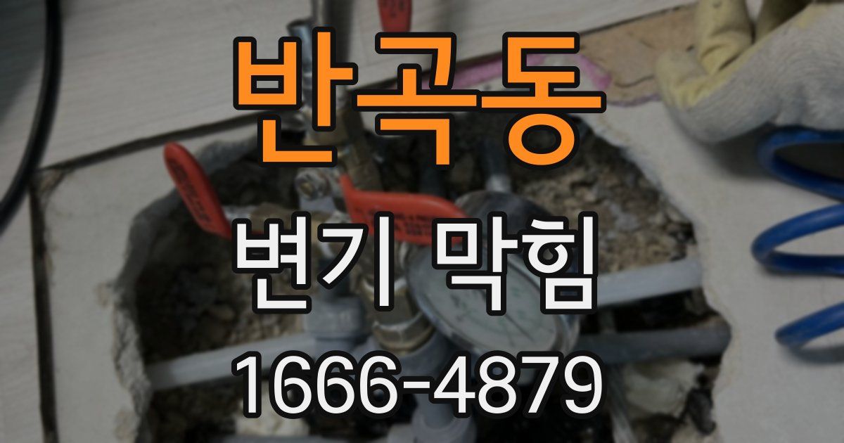 반곡동 변기 막힘
