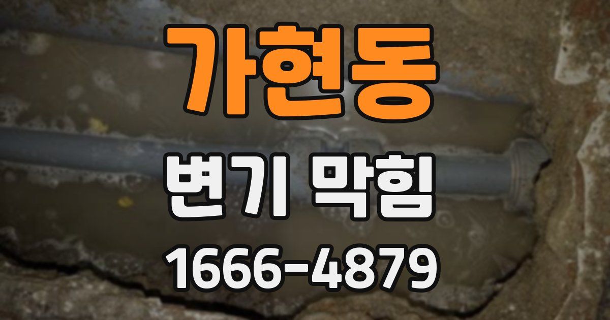 가현동 변기 막힘