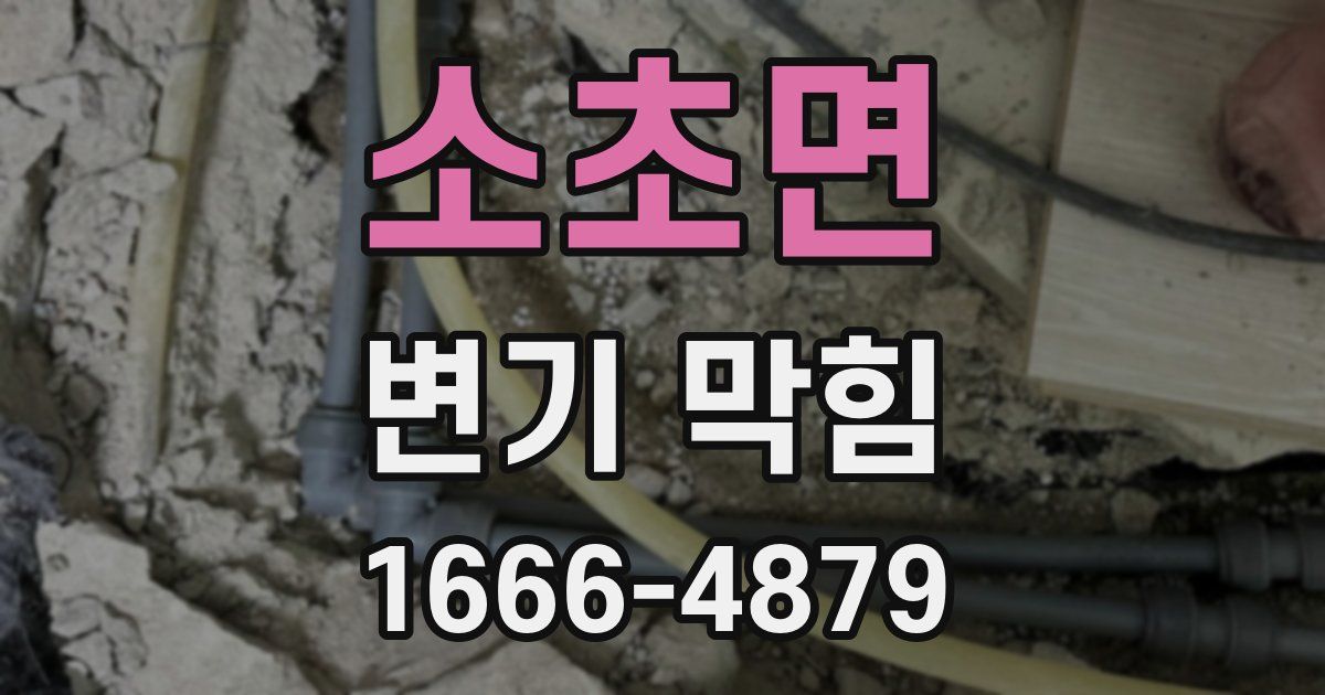 소초면 변기 막힘