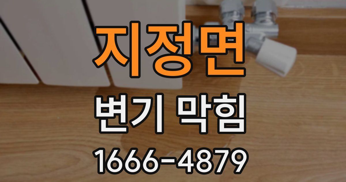 지정면 변기 막힘
