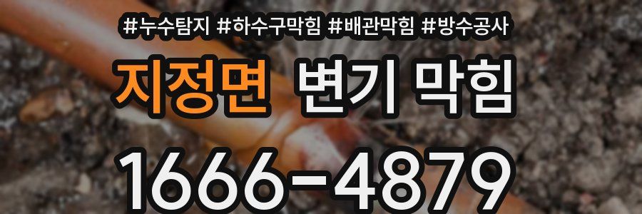 지정면 변기 막힘