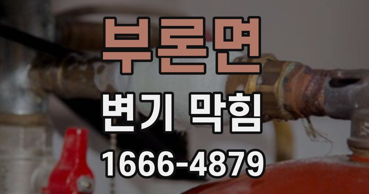 부론면 변기 막힘