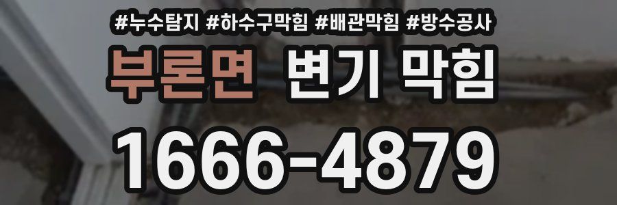 부론면 변기 막힘