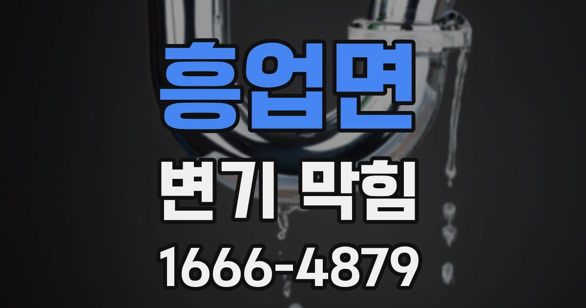 흥업면 변기 막힘
