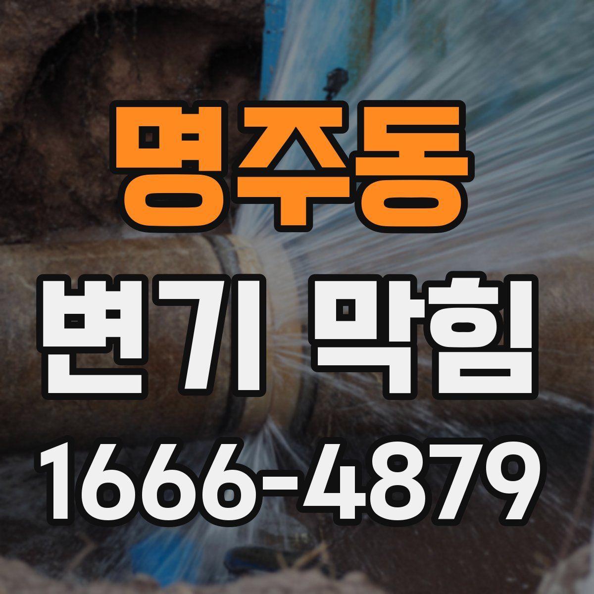 명주동 변기 막힘