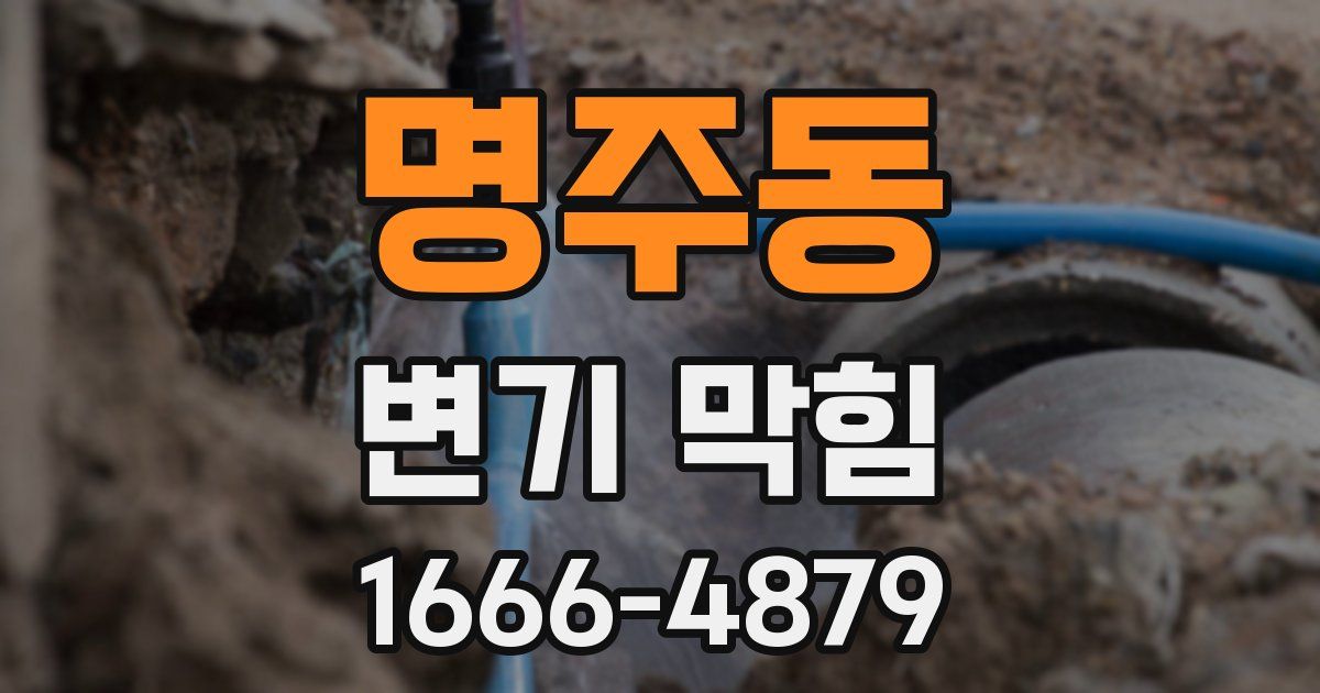 명주동 변기 막힘