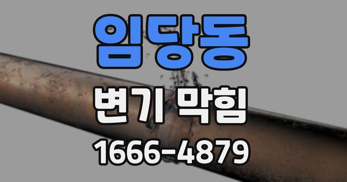 임당동 변기 막힘
