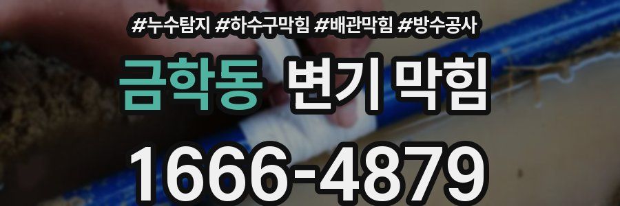 금학동 변기 막힘