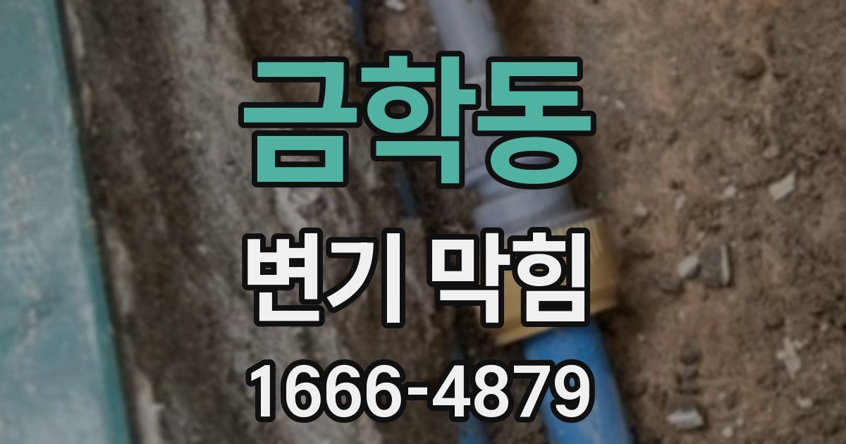 금학동 변기 막힘