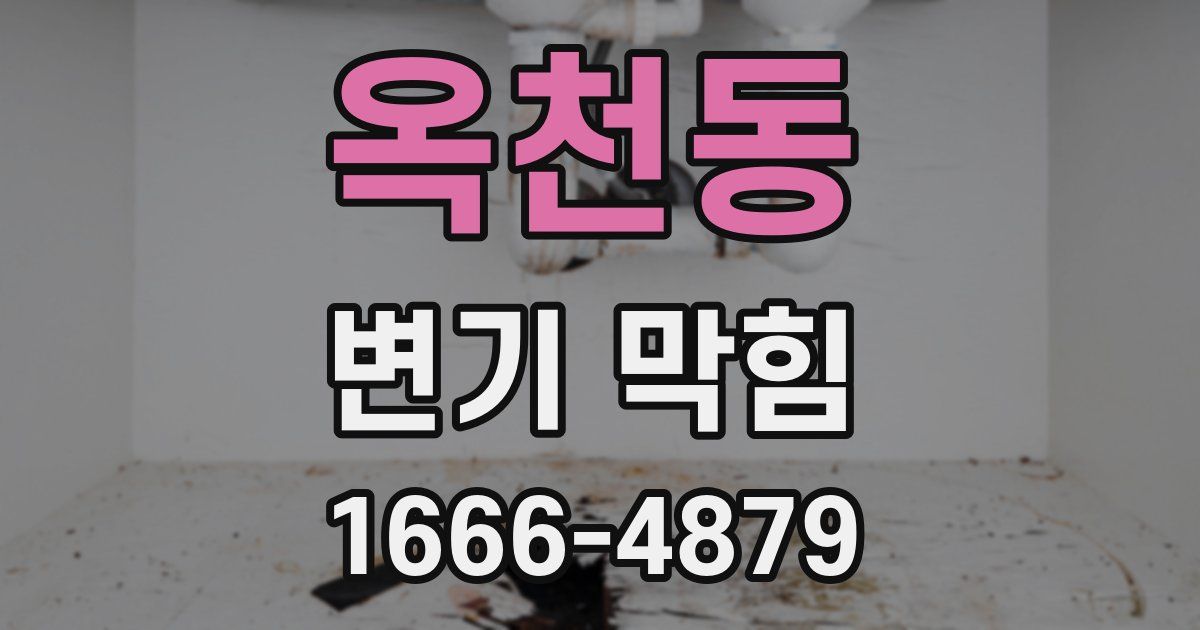 옥천동 변기 막힘