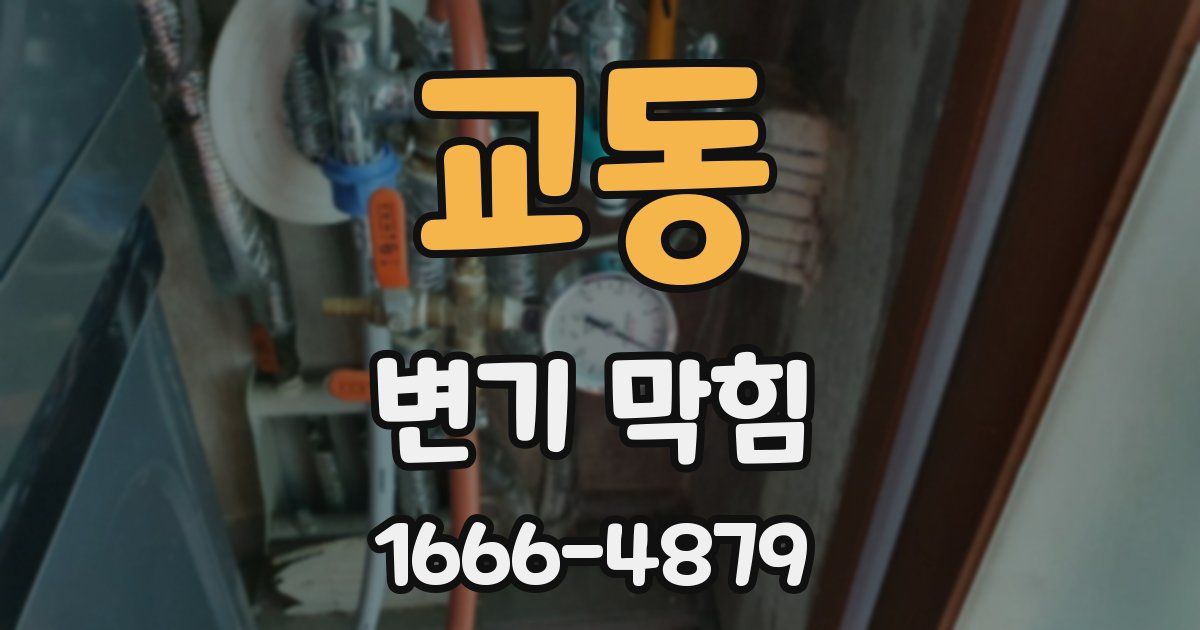 교동 변기 막힘