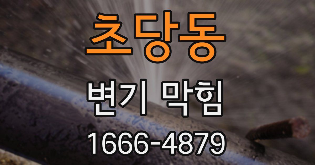 초당동 변기 막힘