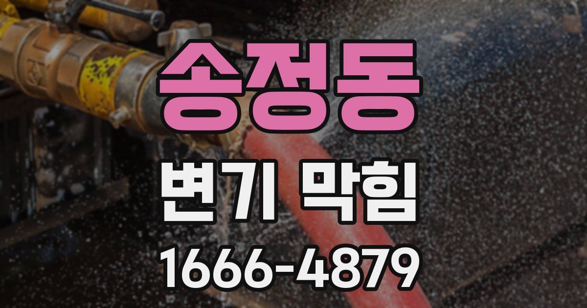 송정동 변기 막힘