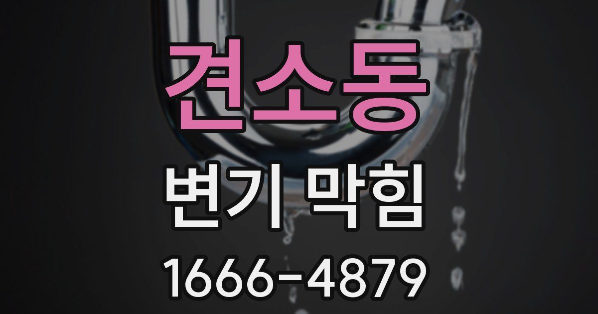 견소동 변기 막힘