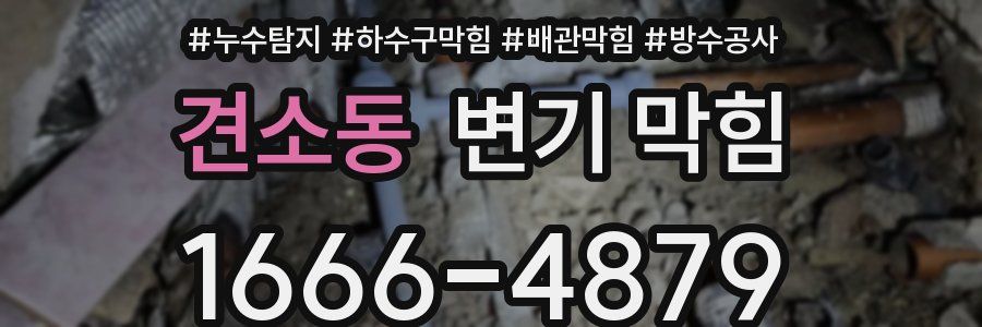 견소동 변기 막힘