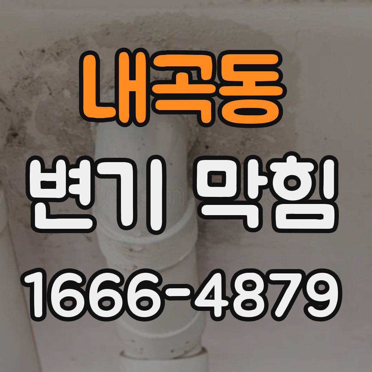 내곡동 변기 막힘