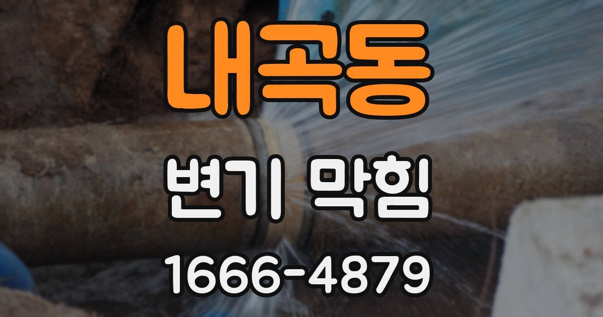 내곡동 변기 막힘