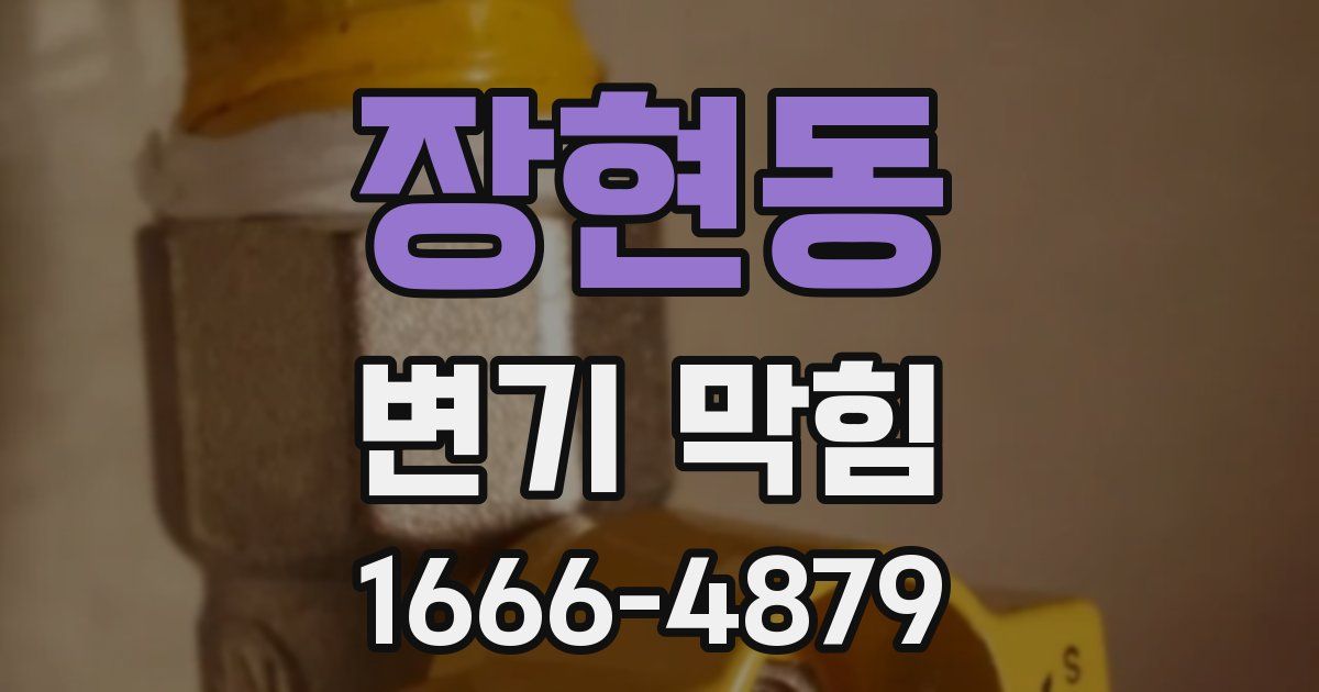 장현동 변기 막힘