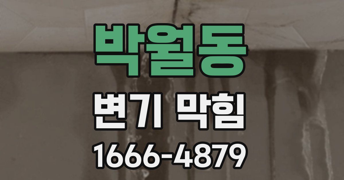 박월동 변기 막힘