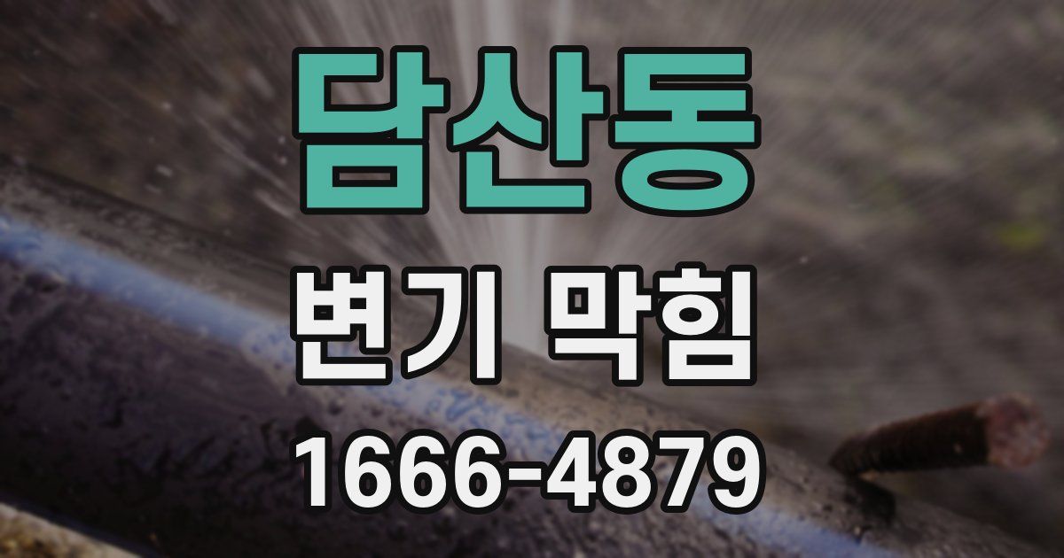담산동 변기 막힘