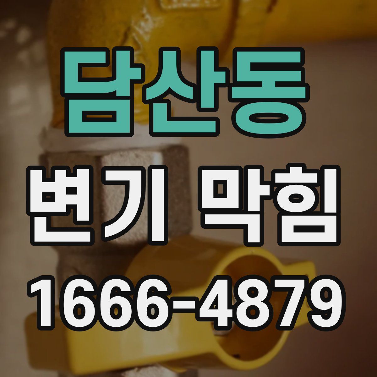 담산동 변기 막힘