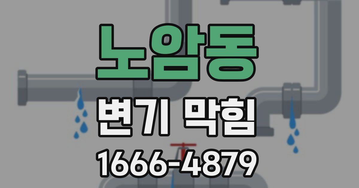노암동 변기 막힘